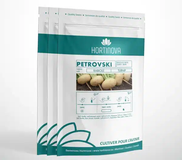 PETROVSKI – Rabiole à Pollinisation Libre - Pépinière