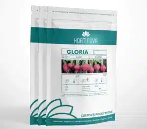 Hortinova / GLORIA – Radis Rouge à Pollinisation Libre - Pépinière