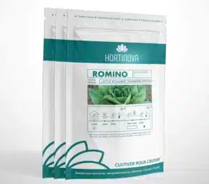 Hortinova / ROMINO – Open Pollinated Romaine Lettuce - Pépinière
