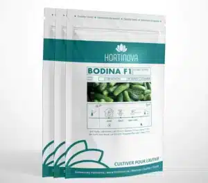 Hortinova / BODINA F1 – Concombre Hybrides - Pépinière