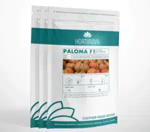 PALOMA F1 – Tomate (Coeur de Boeuf) - Pépinière