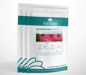 Hortinova / ROSAMUNDE F1 – Hybrid Pink Tomato - Pépinière