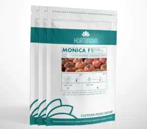 Hortinova / MONICA F1 – Tomates de Plein Champ Hybrides - Pépinière