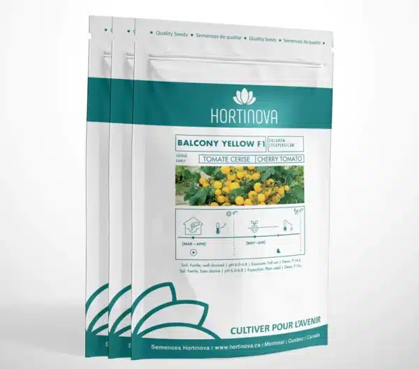 Hortinova /BALCONY YELLOW F1 – Tomates Cerises Hybrides - Pépinière
