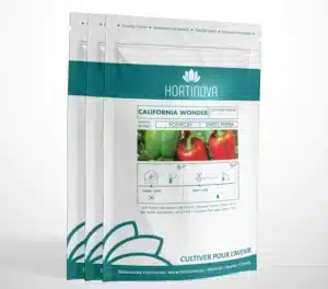 Hortinova / CALIFORNIA WONDER – Poivron à Pollinisation Libre - Pépinière