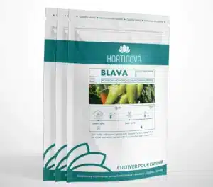 Hortinova / BLAVA – Poivron Hongrois à Pollinisation Libre - Pépinière