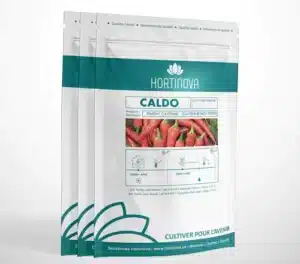 Hortinova / CALDO – Open Pollinated Cayenne Pepper - Pépinière