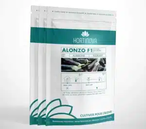 ALONZO F1 – Aubergines Hybrides - Pépinière