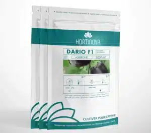Hortinova / DARIO F1 – Aubergines Hybrides - Pépinière