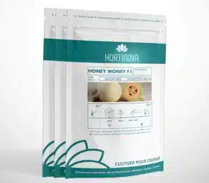 Hortinova / HONEY MONEY F1 (Orange Honeydew) - Pépinière