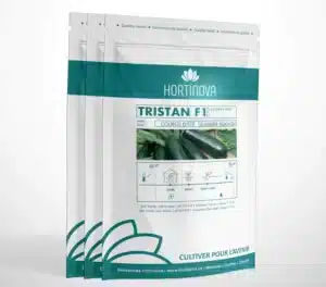 Hortinova TRISTAN F1 – Courge d’Été Hybrides - Pépinière