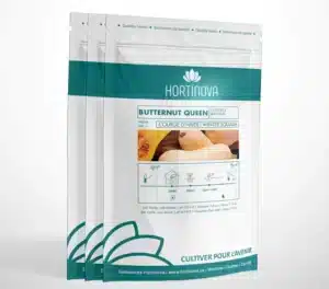 Hortinova / BUTTERNUT QUEEN – Courge d’Hiver à Pollinisation Libre - Pépinière