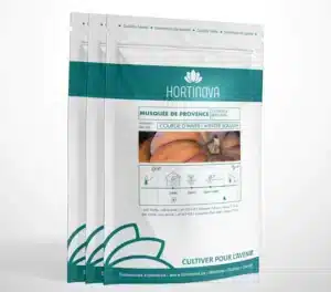 Hortinova / MUSQUE DE PROVENCE – Courge d’Hiver à Pollinisation Libre - Pépinière