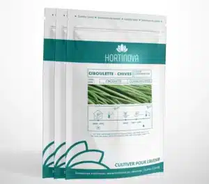Hortinova / CHIVE – Open Pollinated Chives - Pépinière