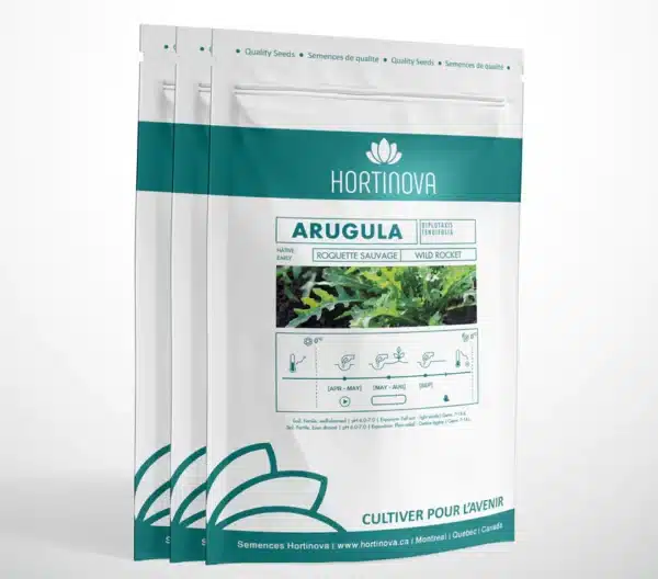 Hortinova / ARUGULA – Roquette Sauvage à Pollinisation Libre - Pépinière