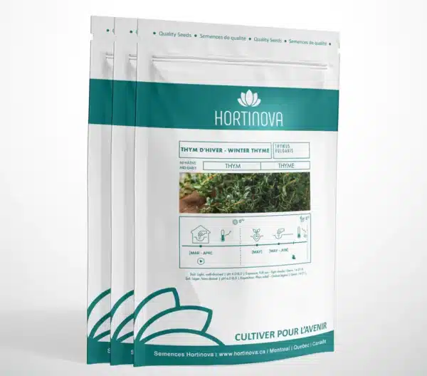 Hortinova / THYM – Thym d’Hiver à Pollinisation Libre - Pépinière
