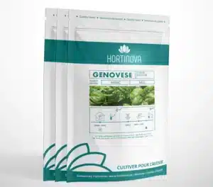 Hortinova / GENOVESE – Basilic à Pollinisation Libre - Pépinière