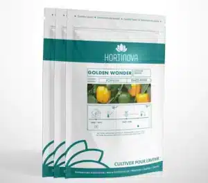 Hortinova / GOLDEN WONDER – Poivron à Pollinisation Libre - Pépinière