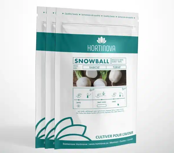 SNOWBALL – Rabiole à pollinisation libre - Pépinière