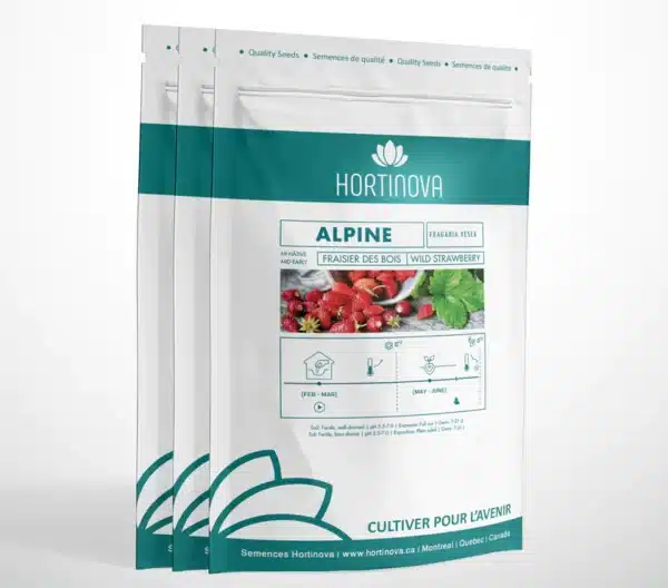 Hortinova / ALPINE – Open Pollinated Strawberry - Pépinière