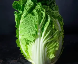 wong-bok-chinese-cabbage-open-pollinated-heirloomWong Bok Chinese Cabbage | Ecologically grown  | Open Pollinated | Heirloom - Pépinière