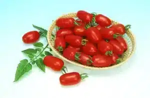 Tomate Raisin ‘Juliet’ F1 / de type Annuel / semences Non-Traitées - Pépinière