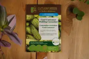 Cucumber Cool Customer Pickling - Pépinière