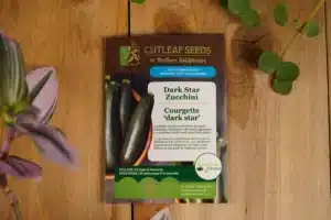 Zucchini Dark Star - Pépinière