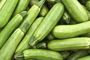 genovese zucchini - Pépinière