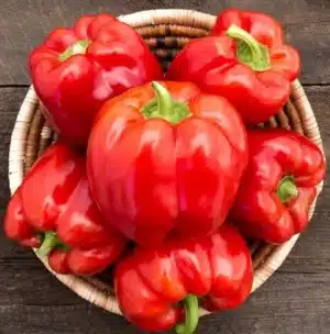 King Crimson Sweet Pepper | Certified Organic by Ecocert Canada | Annual | Open Pollinated | Heirloom - Pépinière