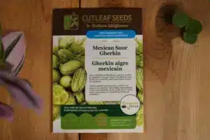 Cucumber Sour Gherkin - Pépinière