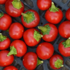 Ecoumene / Szentesi Cherry Pepper / Annual Type / Organic Seeds - Pépinière