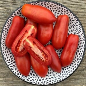 Écoumène / Tomate Italienne ‘Dix doigts de Naples’ / Type Annuel / Semences Bio - Pépinière