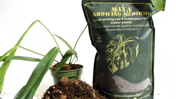 Maya / Potting Soil ‘Aroid Blend’ 3L - Pépinière