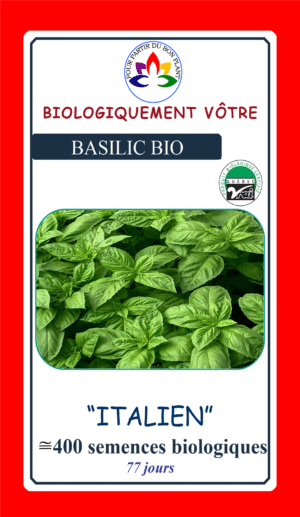 Basilic Italien Bio - Pépinière