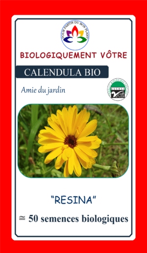Calendula ‘Resina’ Bio - Pépinière