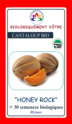 Cantaloup ‘Honey Rock’ Bio - Pépinière