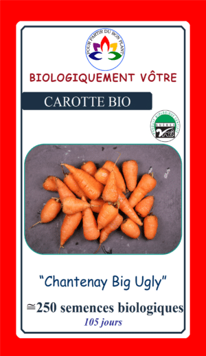 Carotte Chantenay ‘Big Ugly’ Bio - Pépinière