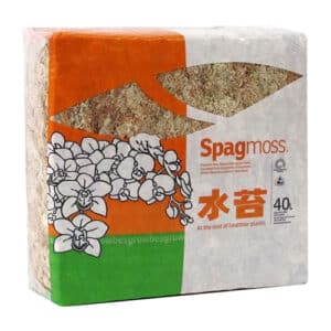 SPAGMOSS / New Zealand Sphagnum Moss - Pépinière