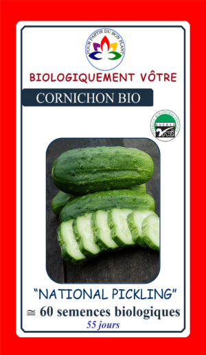 Cornichon ‘National Pickling’ Bio - Pépinière