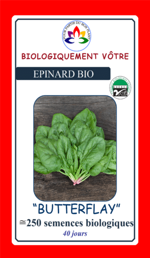 Épinard ‘Butterflay’ Bio - Pépinière