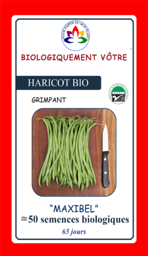 Haricot Vert Maxibel bio - Pépinière