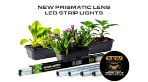 Lumière de Croissance 6400K / Sunblaster Barre Premium LED 36″ Prismatic - Pépinière