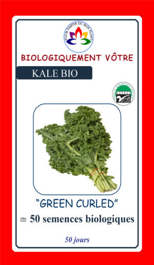 Kale Vert Frisé Bio - Pépinière