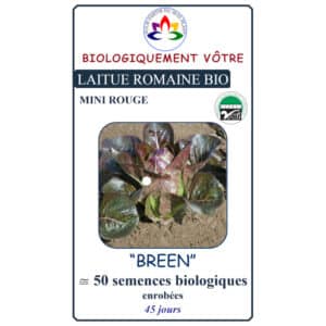 Laitue Mini Romaine Rouge ‘Breen’ Bio - Pépinière