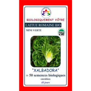 Laitue Romaine ‘Xalbadora’ Bio - Pépinière