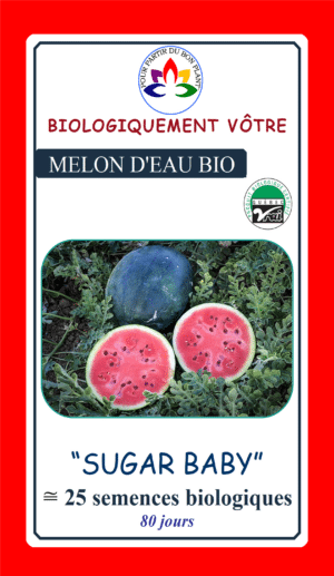 Melon D’Eau Rouge ‘Sugar Baby’ Bio - Pépinière