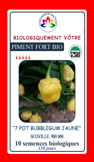 Piment Fort ‘7 Pot Gomme Balloune’ Jaune Bio - Pépinière