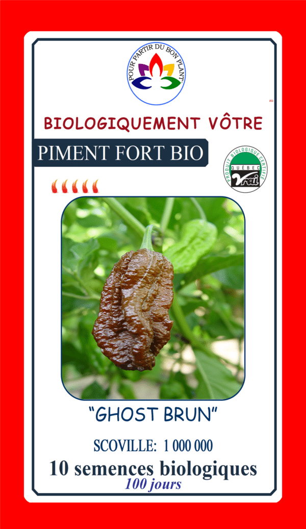 Piment Fort Jolokia Brun ‘Ghost’ Bio - Pépinière
