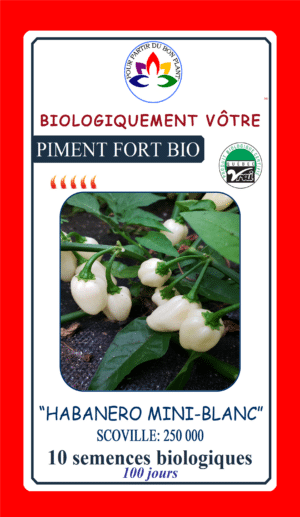 Piment Fort Habanero Mini Blanc Bio - Pépinière